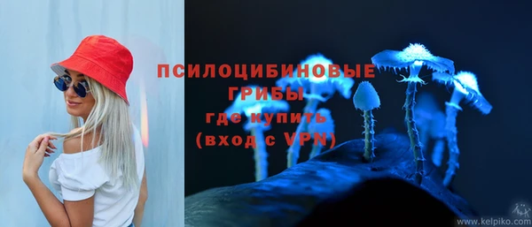 ГАЛЛЮЦИНОГЕННЫЕ ГРИБЫ Медногорск