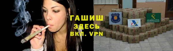 стафф Дрезна